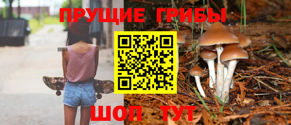 Псилоцибиновые грибы MAGIC MUSHROOMS Гуково
